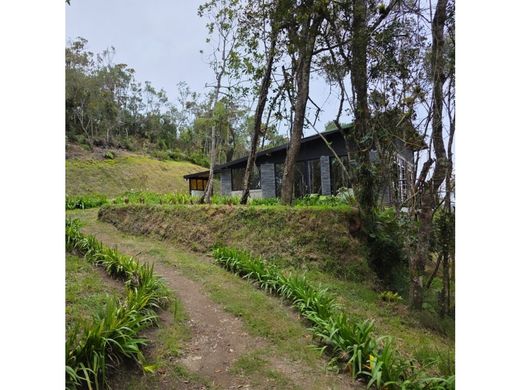 メデリン, Medellínのカントリー風またはファームハウス