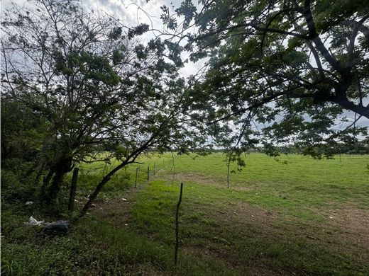 Land in Montería, Departamento de Córdoba