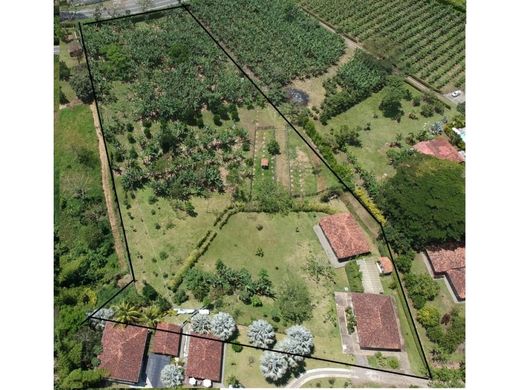 Terreno a La Tebaida, Quindío Department