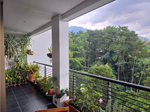 Daire Medellín, Departamento de Antioquia