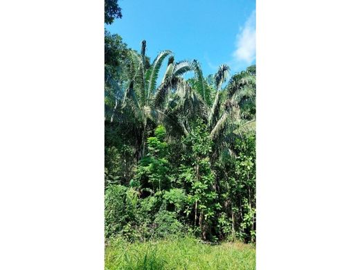 Puerto Salgar, Departamento de Cundinamarcaの土地