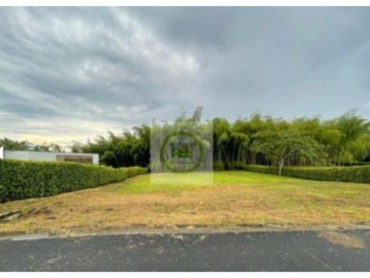 Terrain à Pereira, Departamento de Risaralda