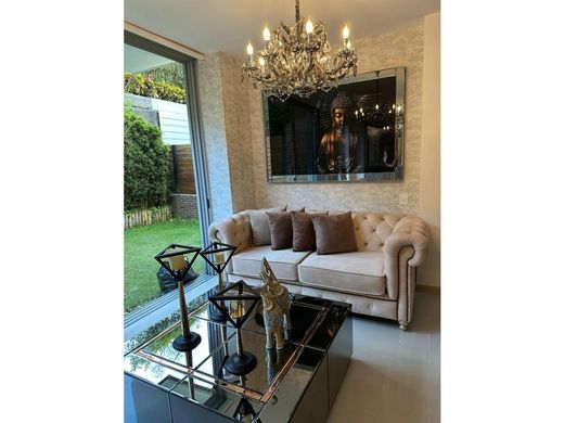 호화 저택 / 메데인, Medellín