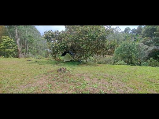 أرض ﻓﻲ Rionegro, Departamento de Antioquia