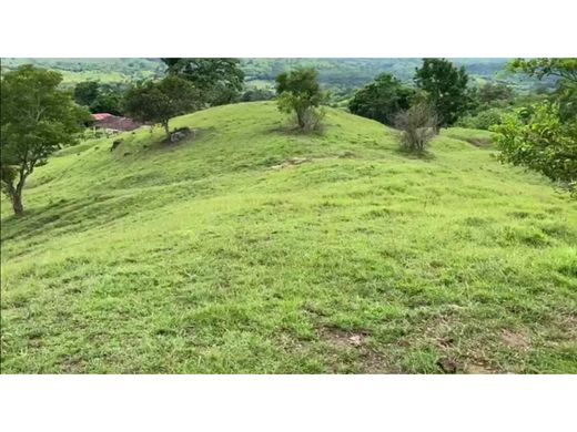 Ρουστίκ ή αγροικία σε Puerto Salgar, Departamento de Cundinamarca