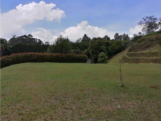 Αγροτεμάχιο σε Rionegro, Departamento de Antioquia