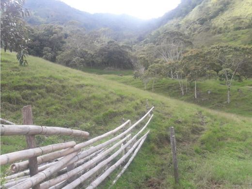 Cocorná, Departamento de Antioquiaの土地