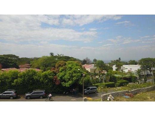 地皮  卡利, Cali