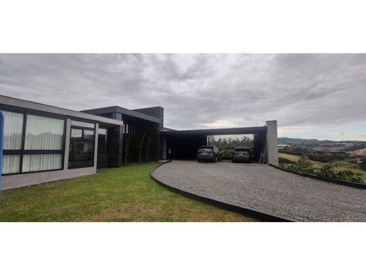 호화 저택 / 메데인, Medellín