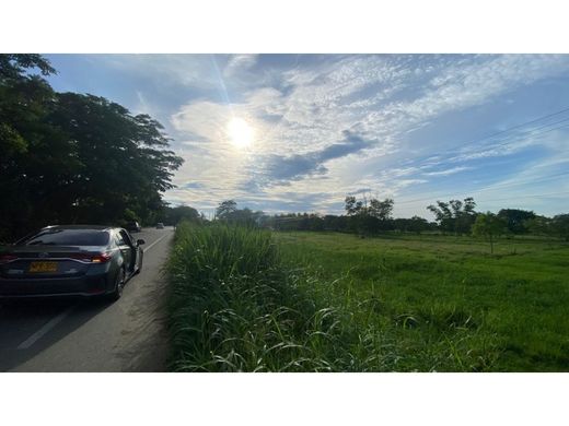 ﻣﻨﺰﻝ ﺭﻳﻔﻲ/ ﺑﻴﺖ ﻤﺰﺭﻋﺔ ﻓﻲ Ciénaga de Oro, Departamento de Córdoba