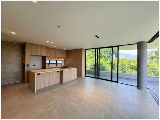 Daire Envigado, Departamento de Antioquia