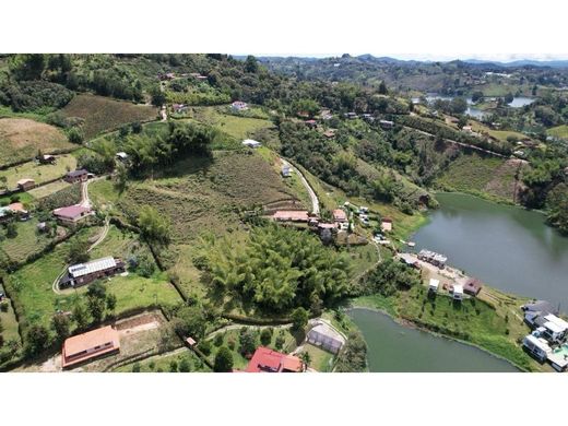 Arsa Guatapé, Departamento de Antioquia