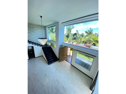 Daire Medellín, Departamento de Antioquia