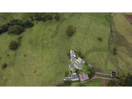 토지 / Dosquebradas, Departamento de Risaralda