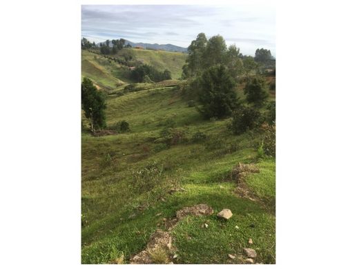 Terreno a Rionegro, Departamento de Antioquia