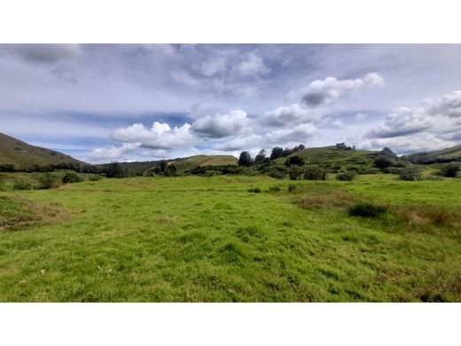 Cortijo o casa de campo en Santa Rosa de Osos, Departamento de Antioquia