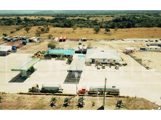 Daire Ibagué, Departamento de Tolima