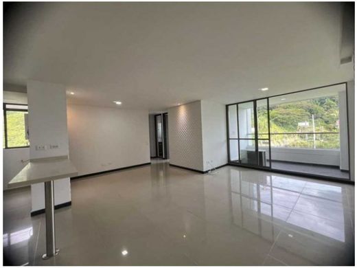 Daire Medellín, Departamento de Antioquia