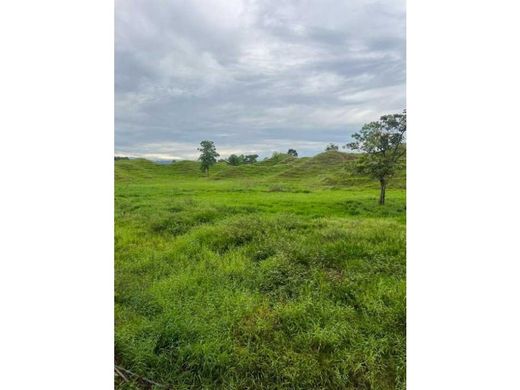 Farmhouse in Puerto Berrío, Departamento de Antioquia