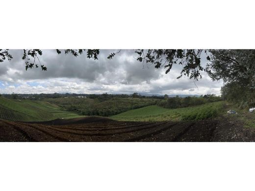 Rustik ya da çiftlik Rionegro, Departamento de Antioquia