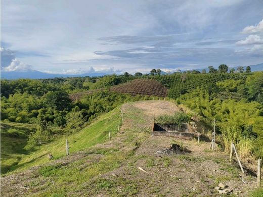 Boerderij in Pereira, Departamento de Risaralda