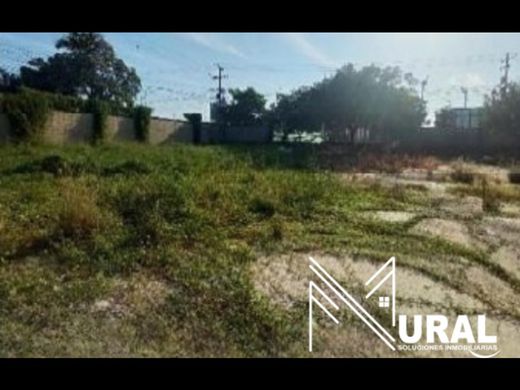 ‏קרקע ב  ברנקייה, Barranquilla