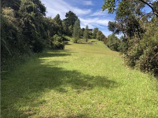 地皮  Envigado, Departamento de Antioquia