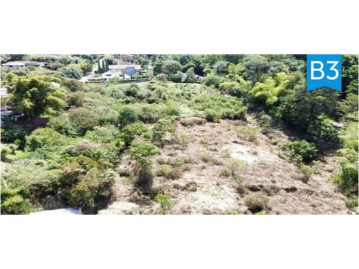 Arsa Envigado, Departamento de Antioquia