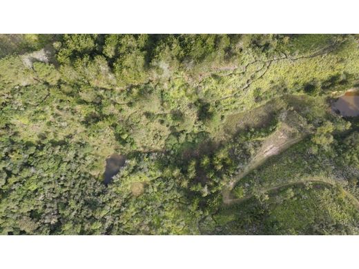 Grond in Rionegro, Departamento de Antioquia