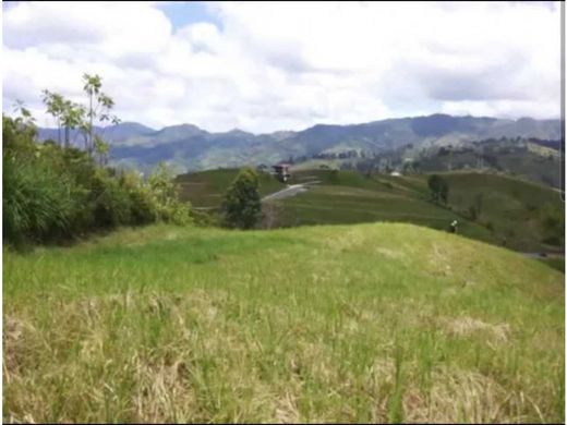 토지 / Santa Rosa de Cabal, Departamento de Risaralda