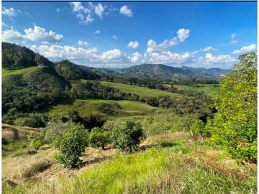 토지 / La Ceja, Departamento de Antioquia