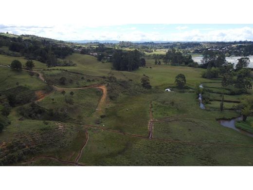 Terreno - Rionegro, Departamento de Antioquia