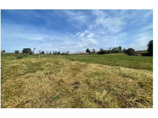 Terrain à Santa Rosa de Osos, Departamento de Antioquia