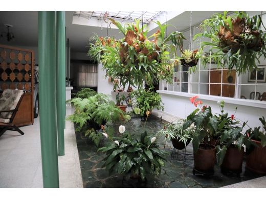 호화 저택 / 메데인, Medellín