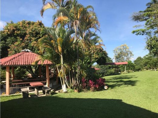 Cortijo o casa de campo en Pereira, Departamento de Risaralda