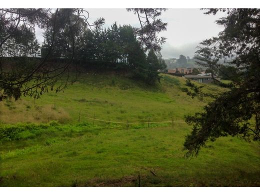 Arsa Envigado, Departamento de Antioquia