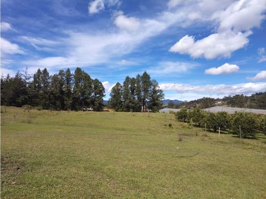 Carmen de Viboral, El Carmen de Viboralの土地