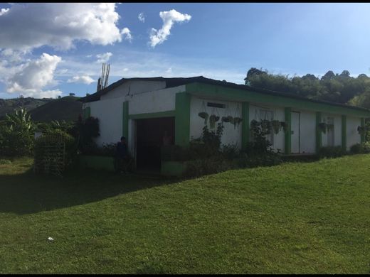 Rustik ya da çiftlik Caicedonia, Departamento del Valle del Cauca
