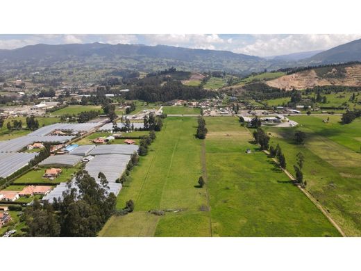 Land in Cogua, Cundinamarca