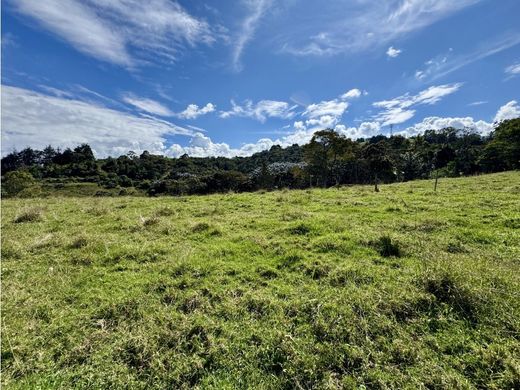 Land in Envigado, Departamento de Antioquia