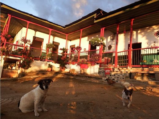 전원/농가 / Pijao, Quindío Department