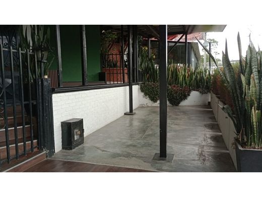 Arsa Armenia, Quindío Department