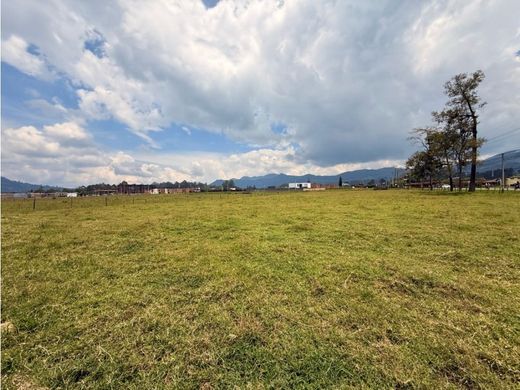 토지 / La Ceja, Departamento de Antioquia