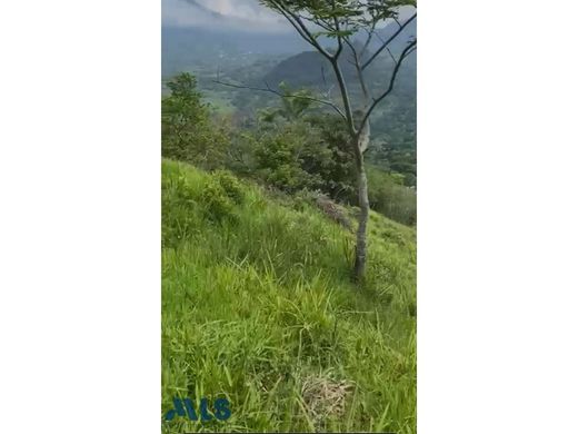 Arsa Amagá, Departamento de Antioquia