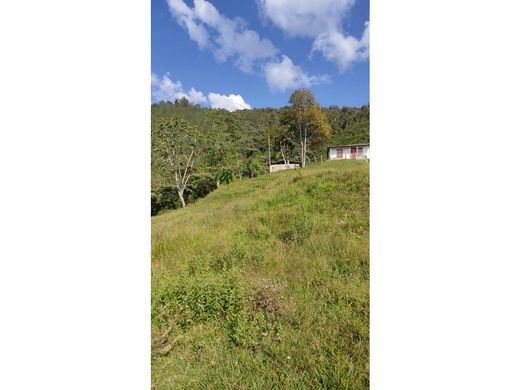 Участок, Кальдас, Caldas