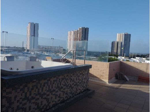 豪宅  巴兰基亚, Barranquilla