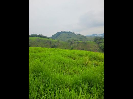 Ferme à Puerto Triunfo, Departamento de Antioquia