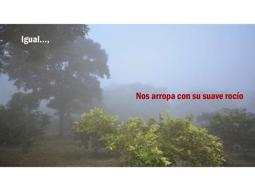 Land in Pereira, Departamento de Risaralda