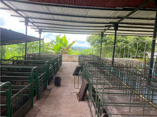 Ferme à Quimbaya, Quindío Department