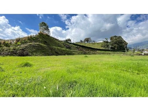 أرض ﻓﻲ Manizales, Departamento de Caldas